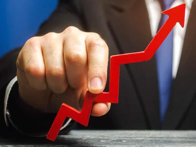 Role of a Strategic Financial Partner in a Growing Business